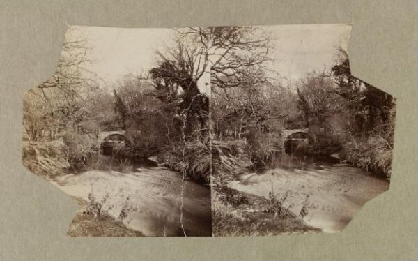 Clementina, Lady Hawarden, Photograph