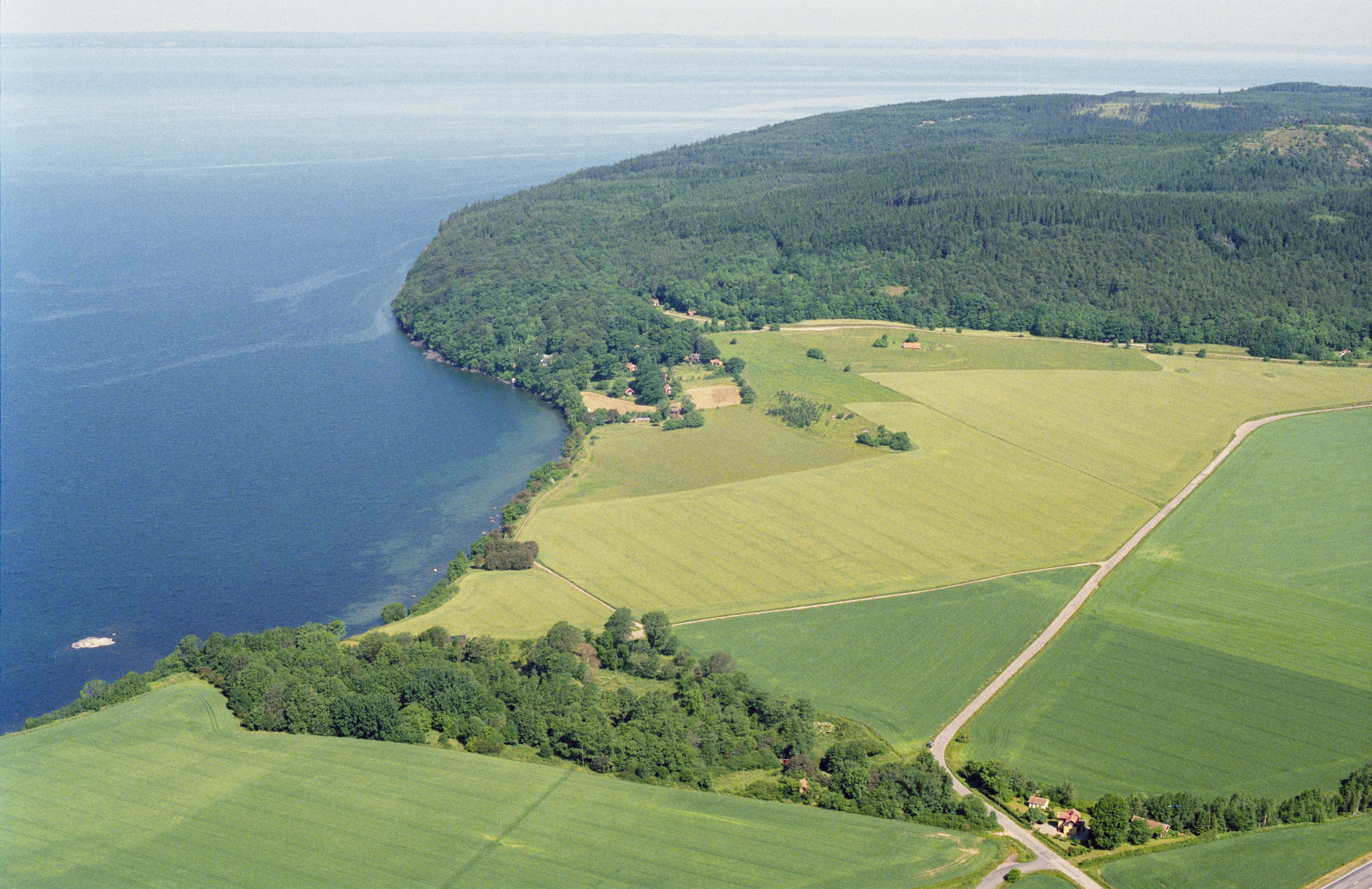Jan Norrman, Västra Tollstad 93:1