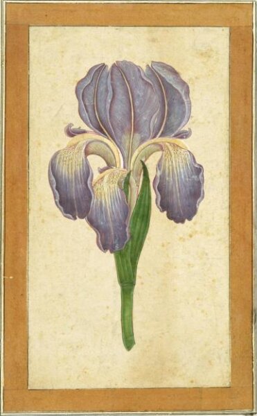 Unknown, Painting