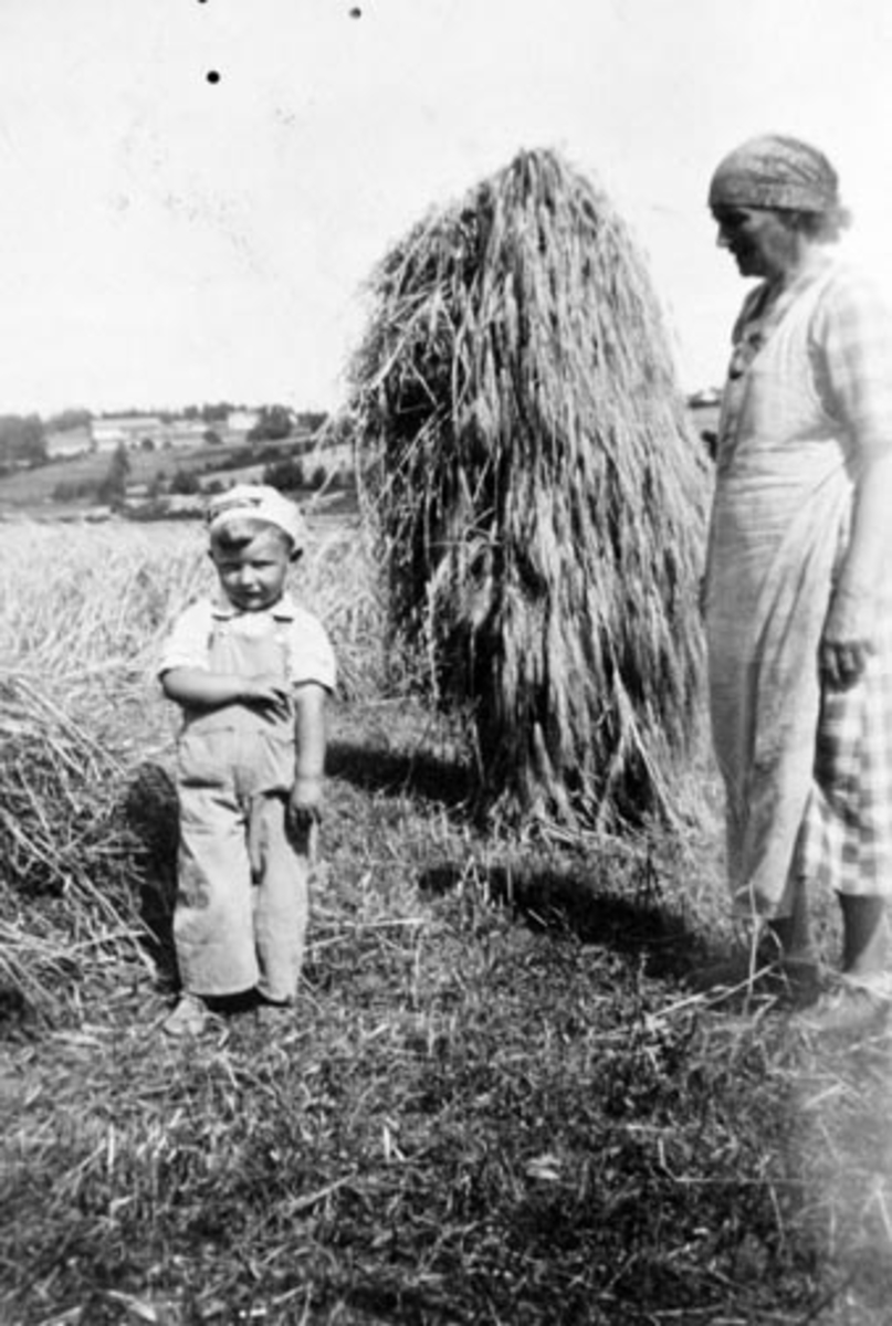 Anno Domkirkeodden, Skuronn. Johan Dalseng f.1935 og Severine Arntsdatter Dalseng (1890-1954. Korn på staur. Kornsnes. Dalseng, Nes, Hedmark.