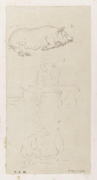 George Chinnery, A pig lying on its side