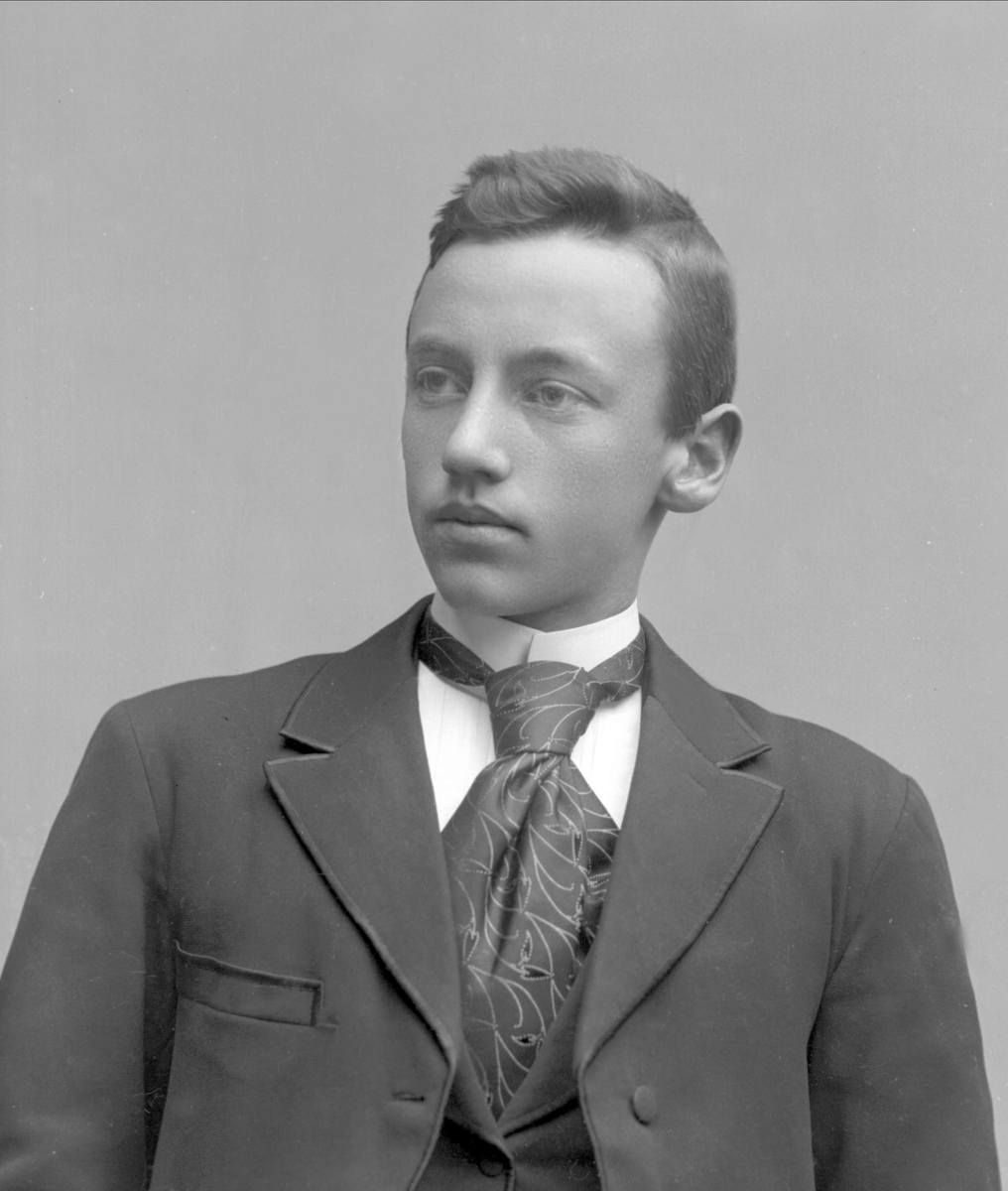 Gustav Borgen, NFB.31308