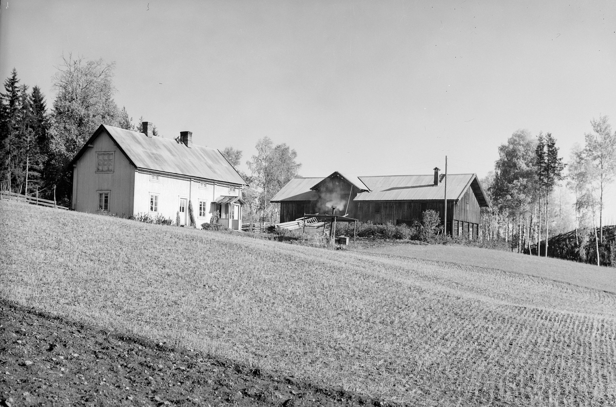 Anno Domkirkeodden, EKSTR: GARDSTUN, ØSTBY, LØTEN. Se Løtenboka, bind 1. Bygdeboka fra 1949, side 483