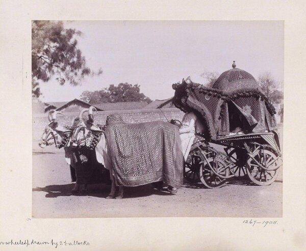 Unknown, Photograph