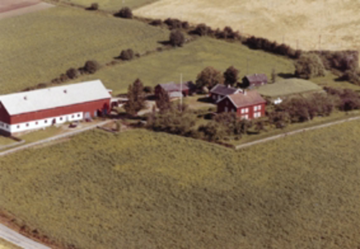 Widerøes Flyveselskap A/S, Flyfoto av Smedstad gard, Ring, Ringsaker.