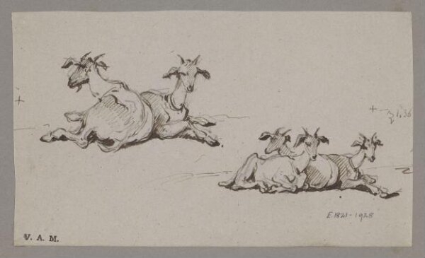 George Chinnery, Two groups of goats