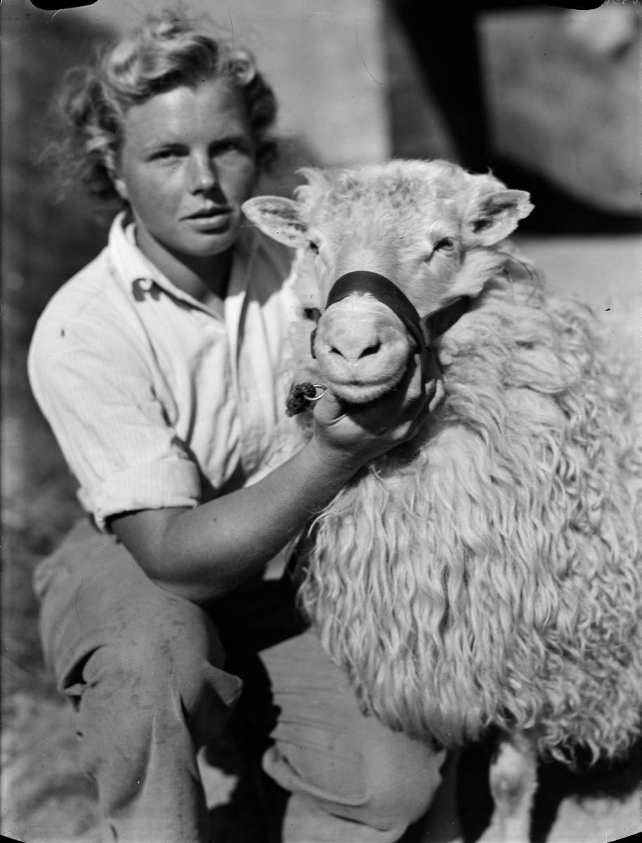 Paul Sandberg, “Record prices at the Bird Breeding Association’s auction” - Ulla Bernstedt and baggen “Salsta-Klas,” Ultuna, Uppsala September 1942