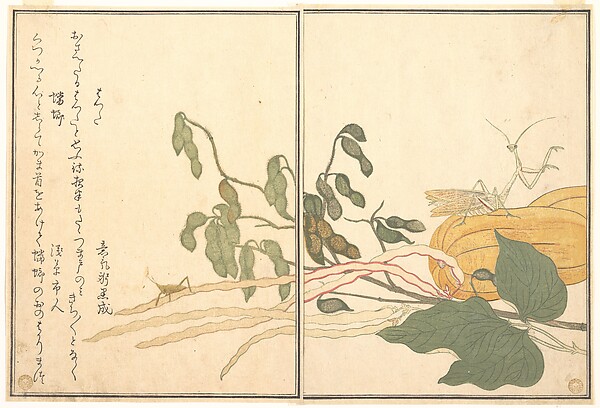 Kitagawa Utamaro, Cone-headed Grasshopper or Locust, (batta); Praying Mantis (Tōrō or Kamakiri), from the Picture Book of Crawling Creatures (Ehon mushi erami)
