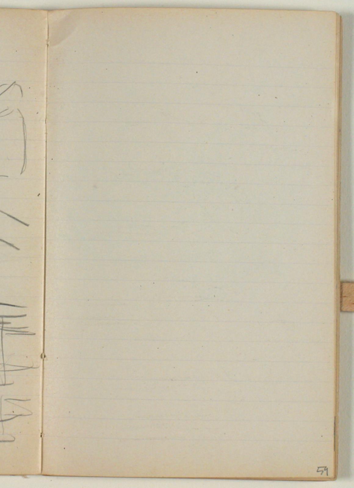 Niels Larsen Stevns, Blank