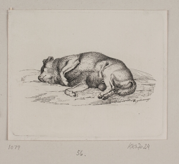 Vilhelm Kyhn, En liggende hund