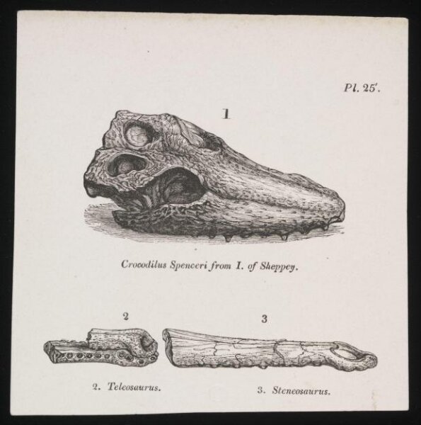 Unknown, Print