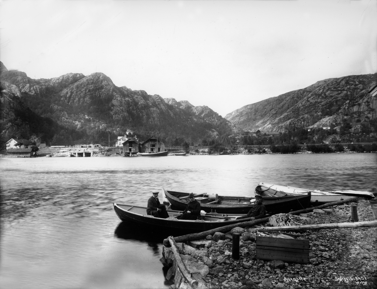 Anders Beer Wilse, Aaensire