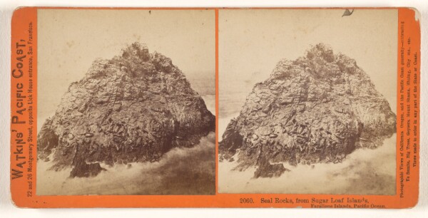Carleton Watkins, Seal Rocks, from Sugar Loaf Islands, Farallone [sic] Islands, Pacific Ocean.
