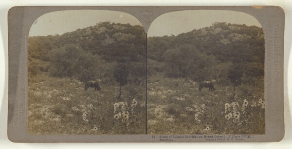 Carleton H. Graves, Scene of Elijah's Sacrifice on Mount Carmel. (I Kings XVIII.) Palestine.