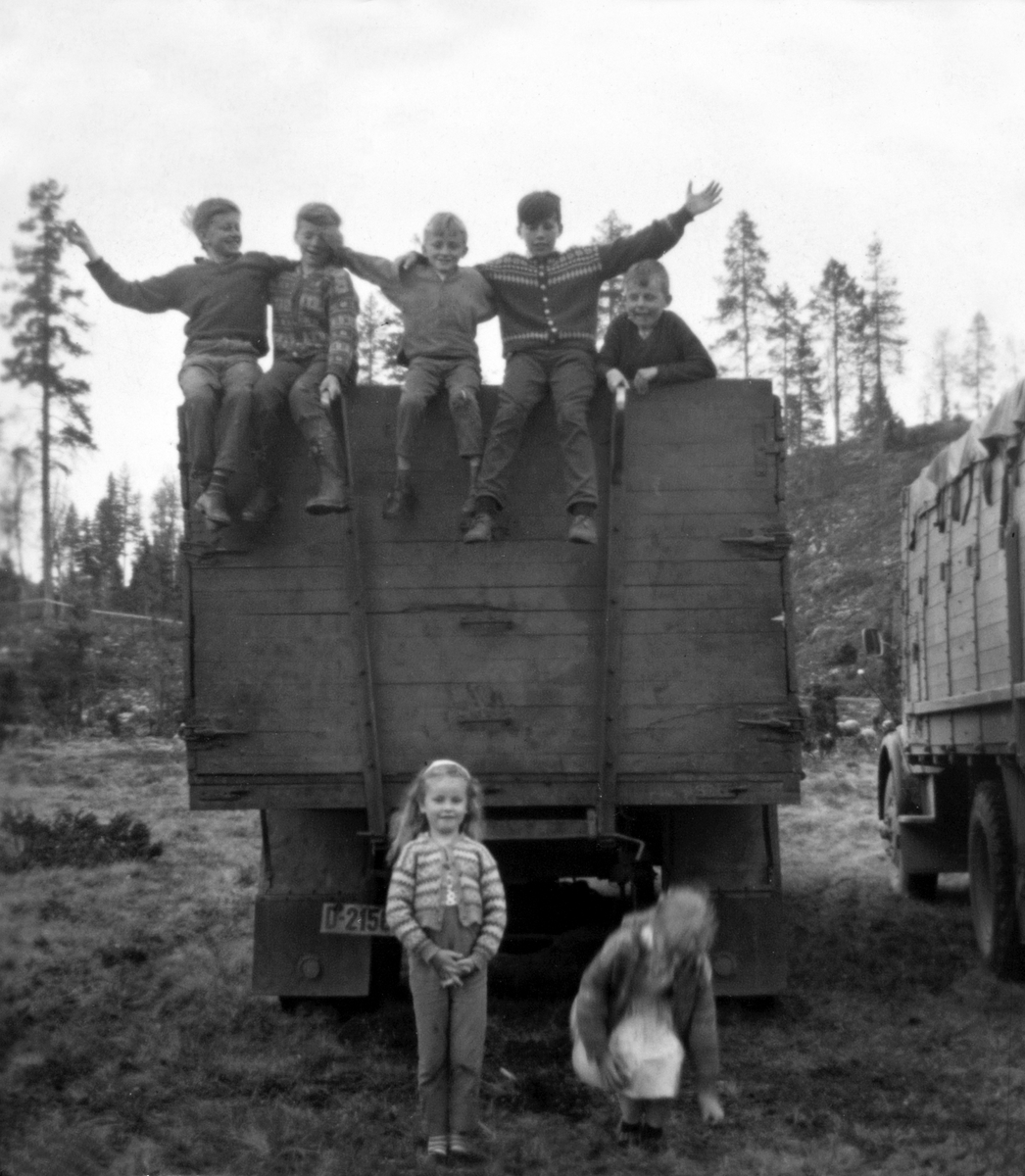 Anno Domkirkeodden, En munter ungeflokk på lastebilen til Peder Amb, Gammelskolla i 1967. Det er sau fra Medlien gård, Ringsaker som slippes på beite. Foran er Eli Medlien (7) og Astrid Amb (8). Oppå karmen er fra venstre Hans Christian Medlien (12), Rolf Einar Normann Larsen (14), Stein Roar Medlien (10), Terje Vesth…