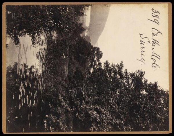 Francis Frith, On the Mole.  Surrey