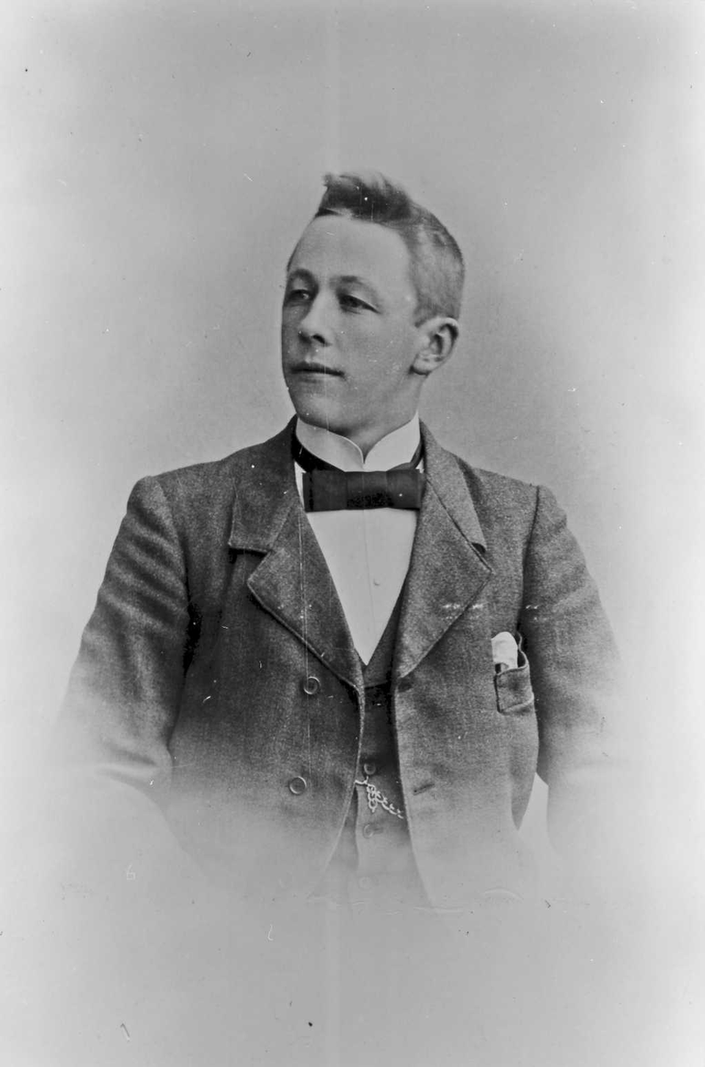 Henrik Augustinsson Stinessen, Portrett av mann - Birger I. Steihaug, født 1883