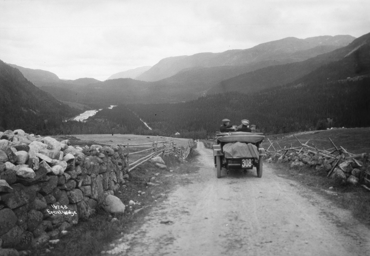 Anders Beer Wilse, Prot: Grungevand - Automobilen