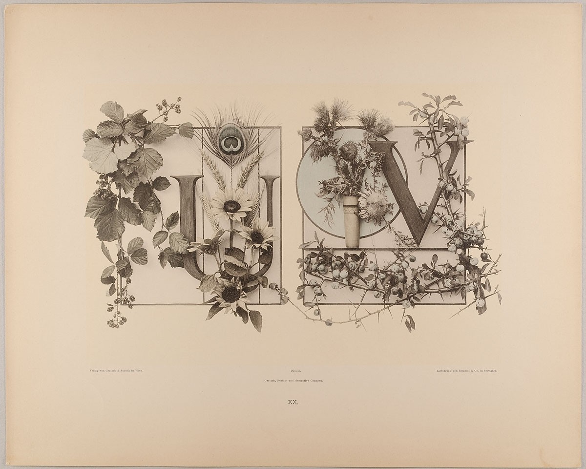 Martin Gerlach, XX. Initiale U V mit Brombeeren, Pfauenfeder, Gerste und Sonnenblumen - Wetter- und Kratzdistel, Schlehdorn