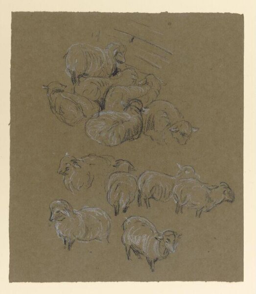 Potter, Beatrix, drawing