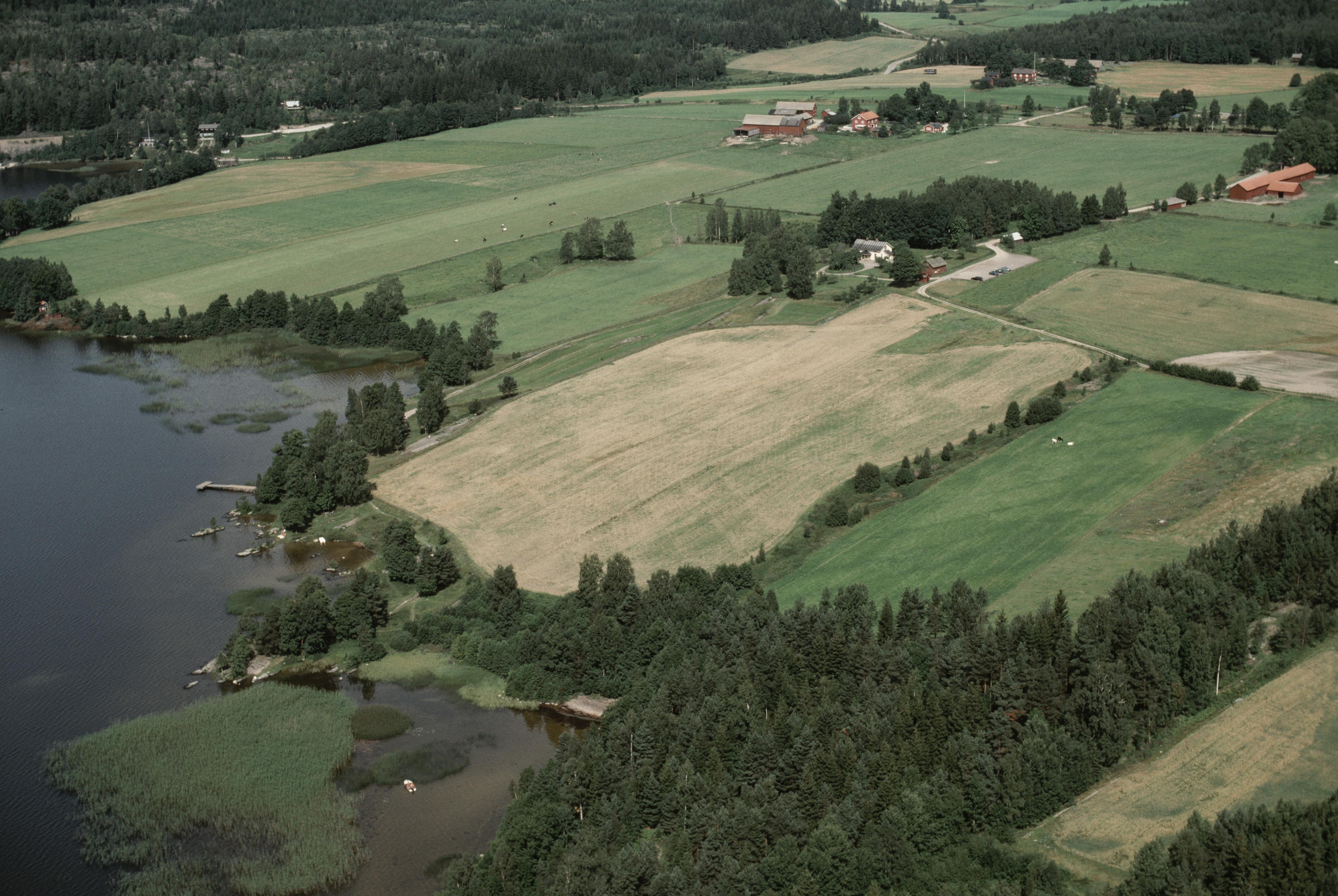 Jan Norrman, Tisselskog 15:1