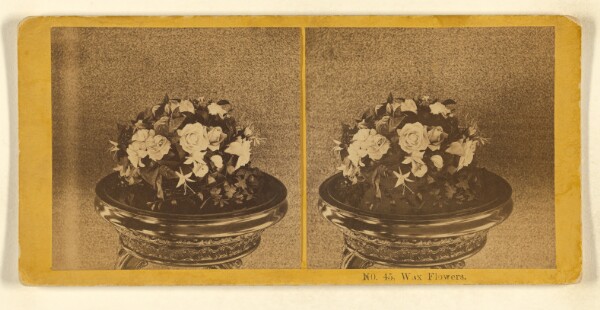 Benjamin West Kilburn, Wax Flowers.