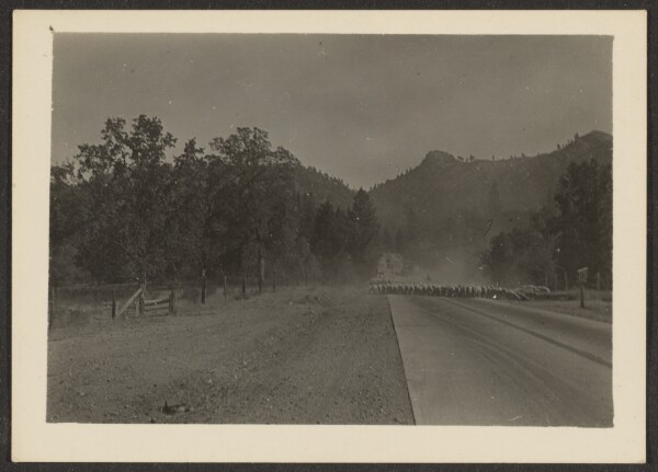 Louis Fleckenstein, [Animal Herd Crossing Road]