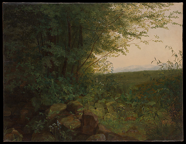 August Heinrich, At the Edge of the Forest