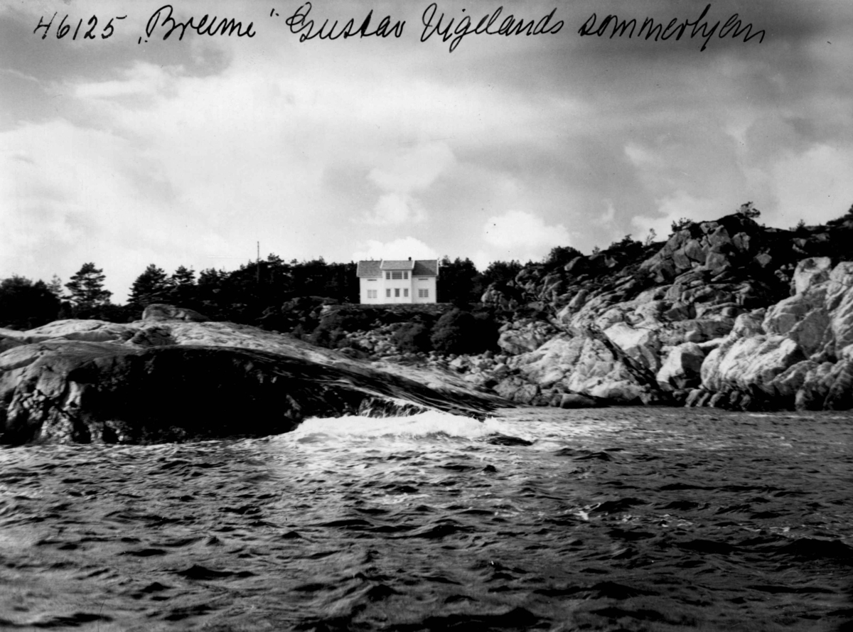 Anders Beer Wilse, Wilse original, Vigelands bolig, Villa Beime.