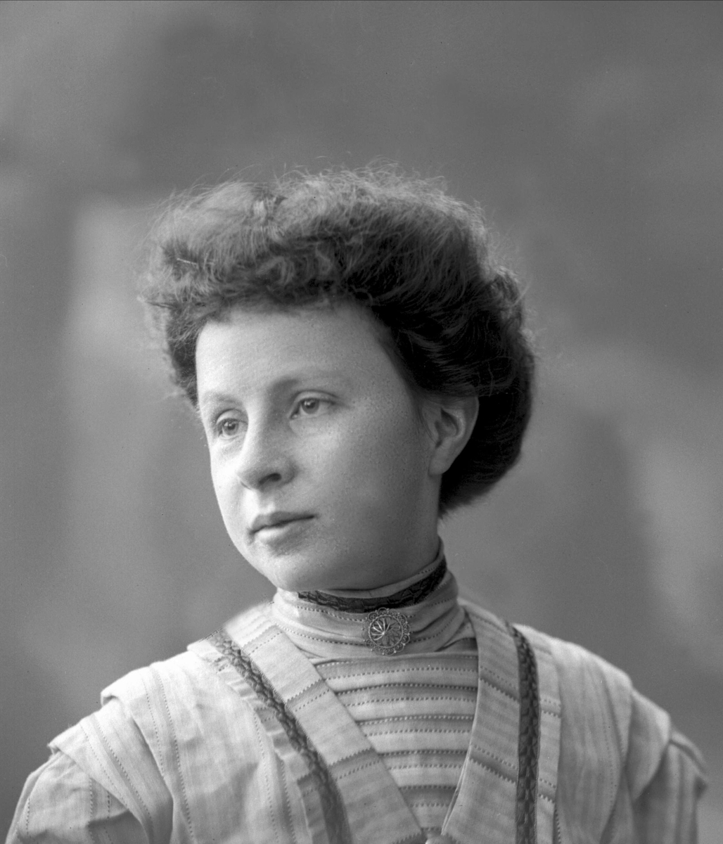 Gustav Borgen, NFB.38790