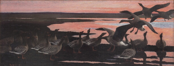 Bruno Liljefors, Vildgæs