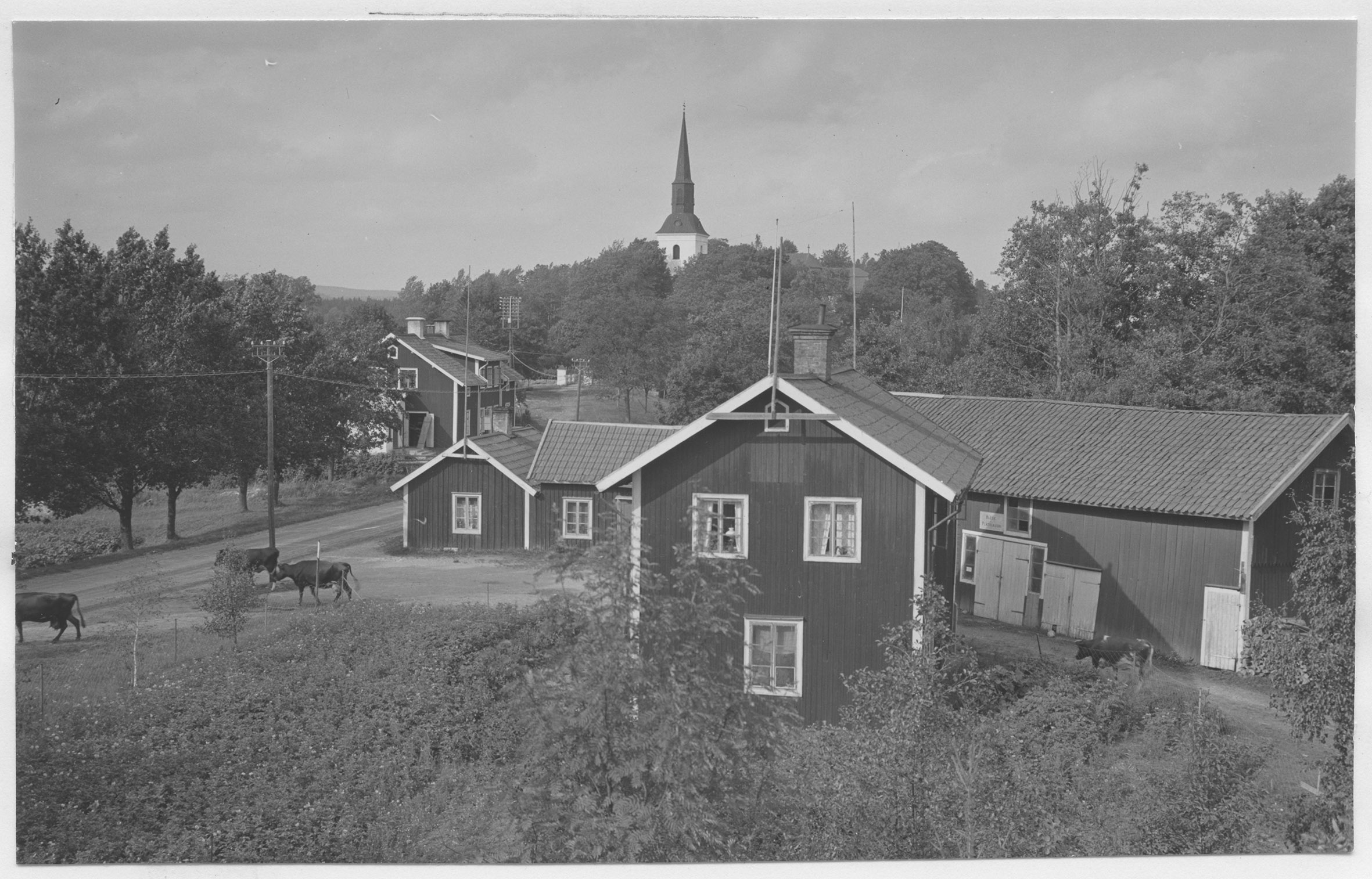 Mårten Sjöbeck, Närkes Kil, betesmark
