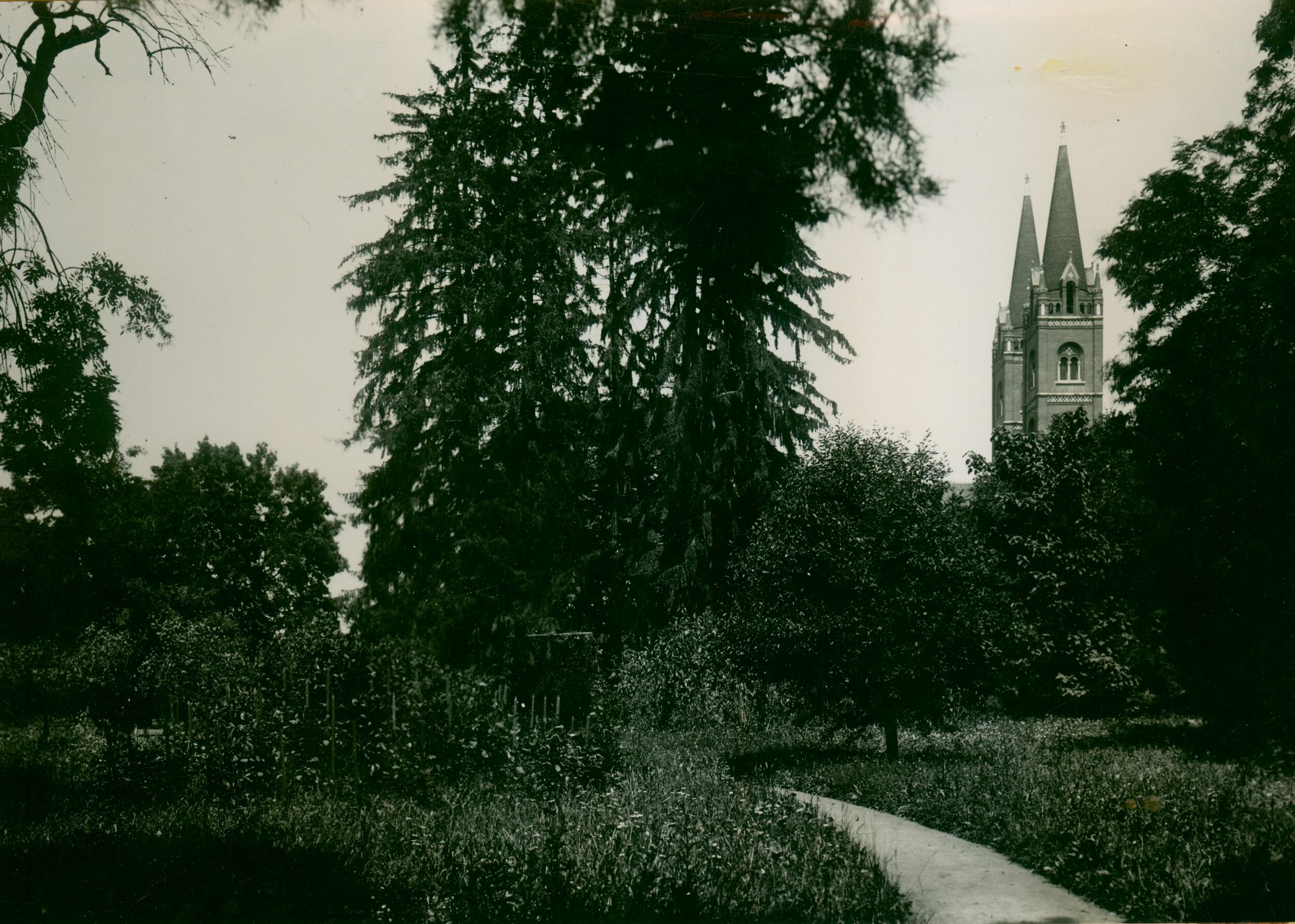 Josip Brunšmid, Đakovo - park uz biskupski dvor; u pozadini zvonici katedrale sv. Petra