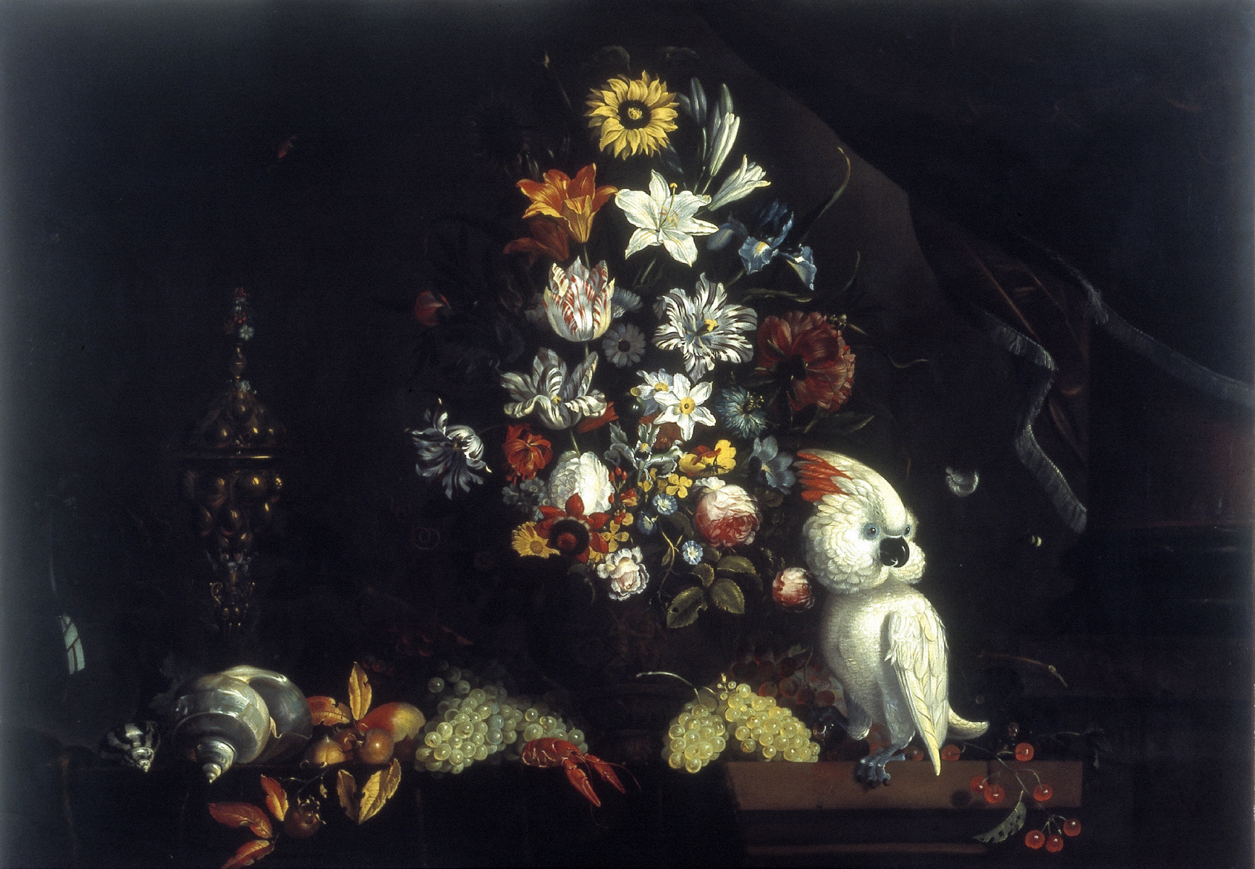 Jacob Marrel, Still life with flowers in a vase and a cockatoo