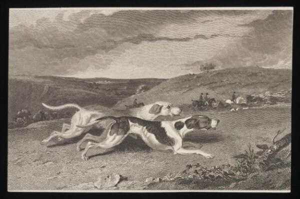 Unknown, Print
