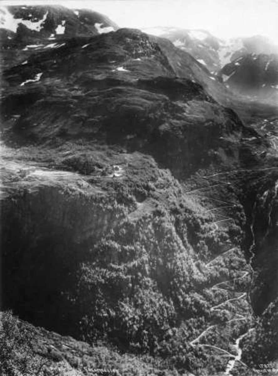 Anders Beer Wilse, -6069