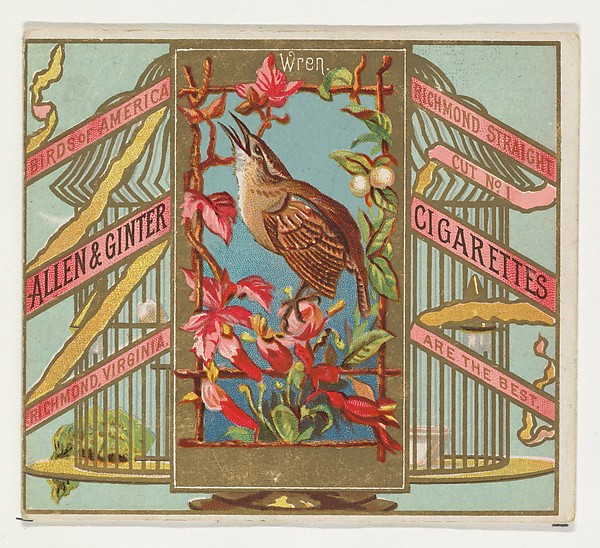 Allen & Ginter, Wren, from the Birds of America series (N37) for Allen & Ginter Cigarettes