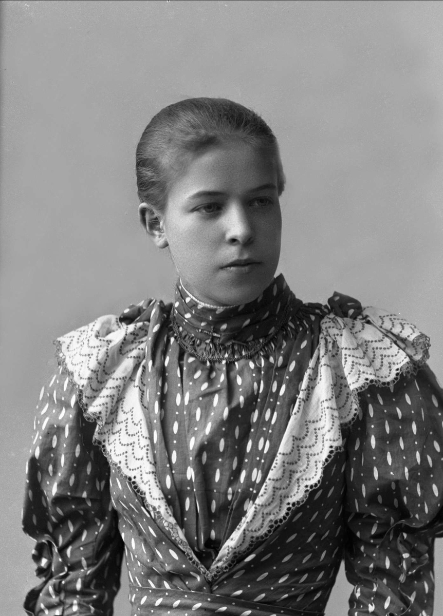Gustav Borgen, NFB.31002