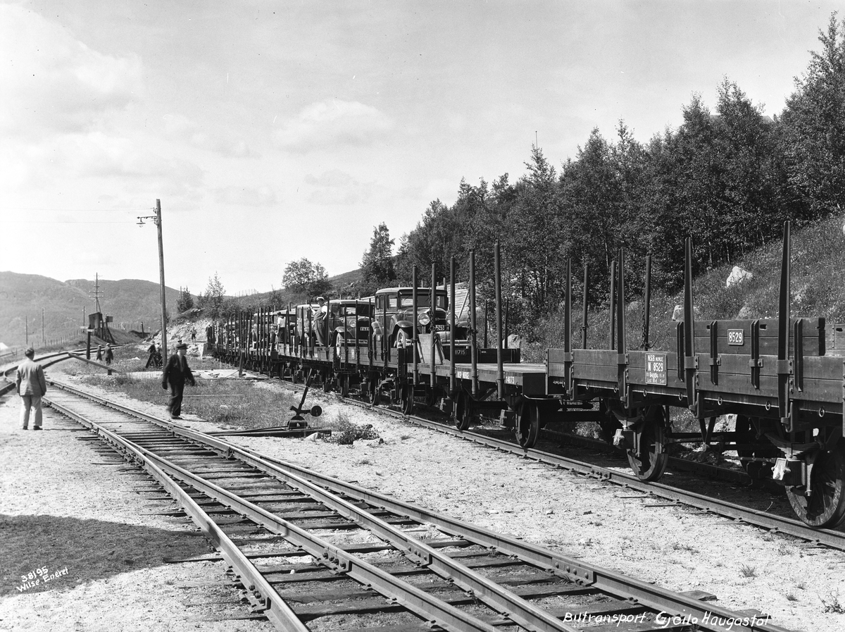 Anders Beer Wilse, Prot: Gjeilo Biltransport 14/7 Neg: Biltransport Gjeilo Haugastøl