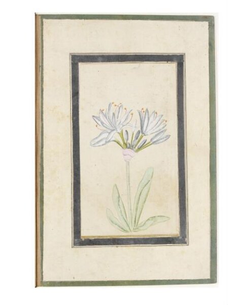 Unknown, Painting