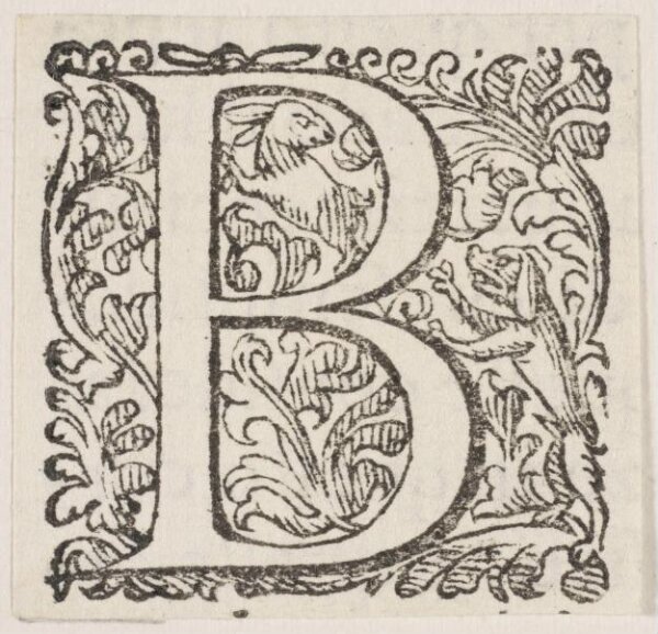 Unknown, Print