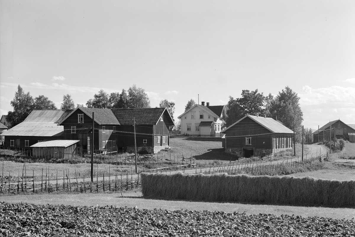 Anno Domkirkeodden, EKSTR: GARDSTUN, FINSTAD LILLE VESTRE. Se Løtenboka, bind 3. Bygdeboka fra 1955, side 89