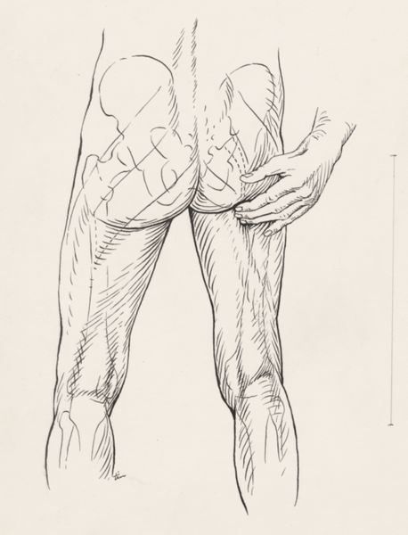 J Tinkelenberg, Human buttocks and pelvic bones