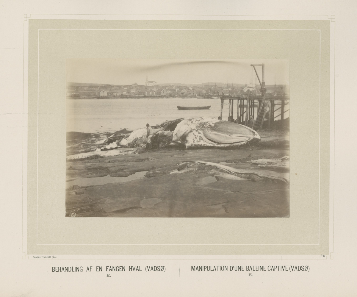 Sophus Tromholt, Billeder fra Lappernes Land/Tableaux du Pays des Lapons