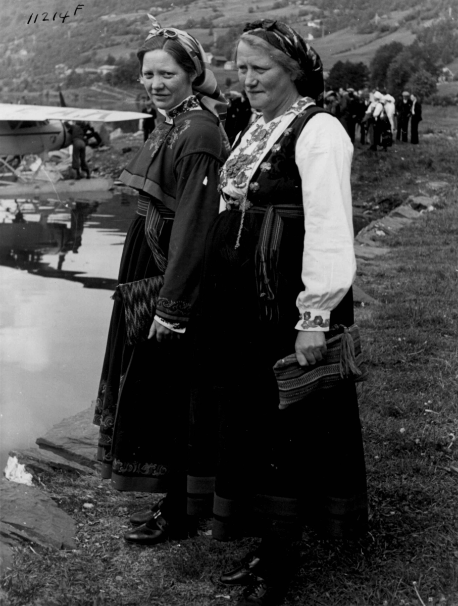 Anders Beer Wilse, Kvinnedrakter, Telemark