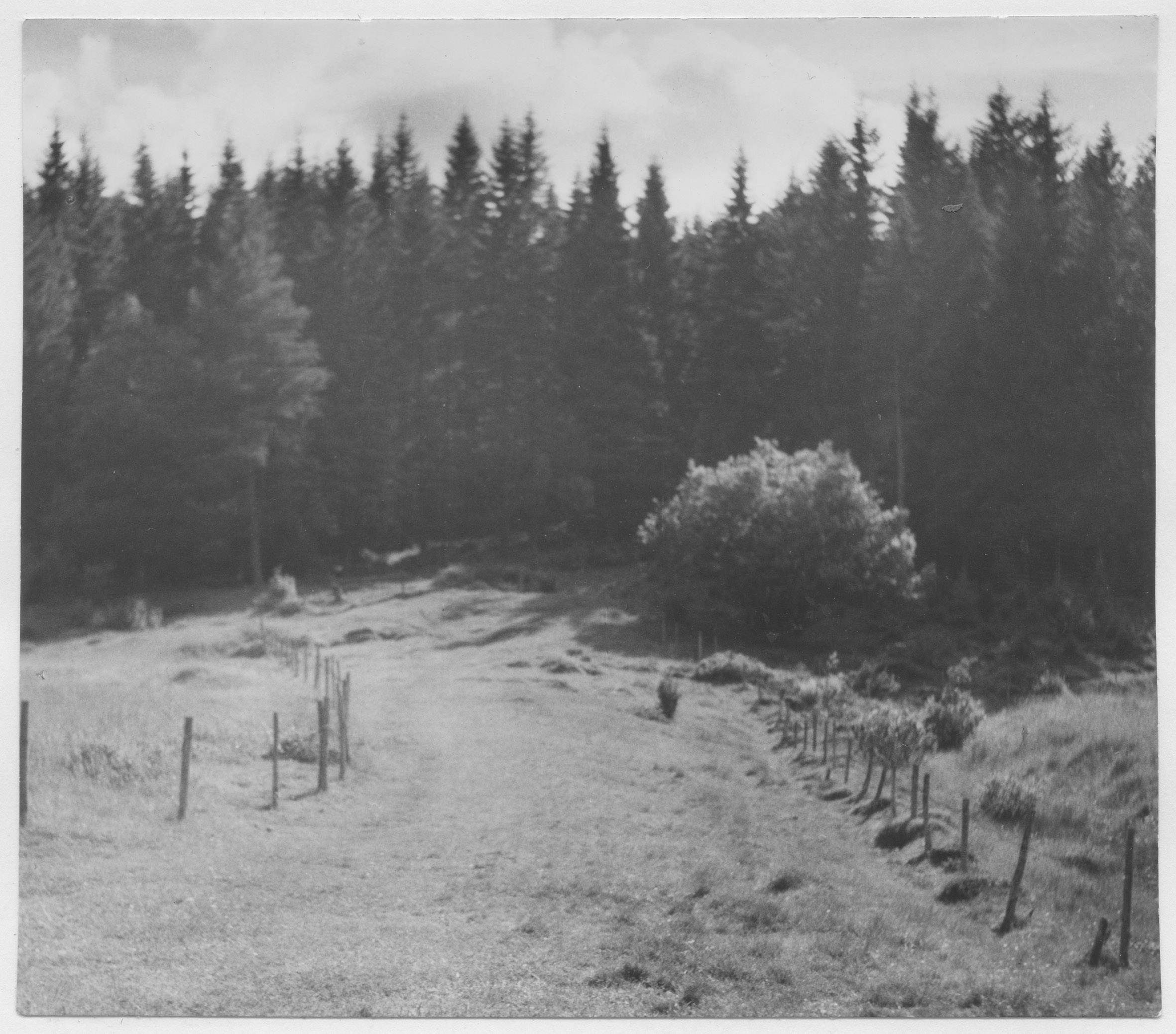 Mårten Sjöbeck, Solum