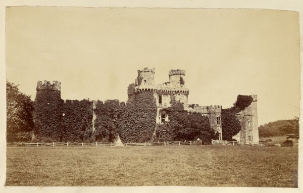 Unknown, [Overgrown castle ruins]
