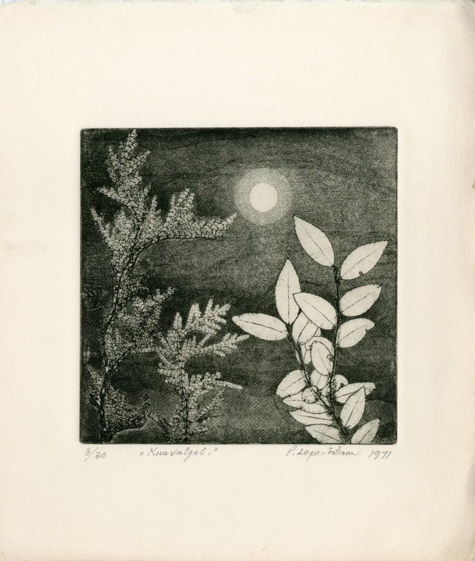 Pauline Elfriede (author) Leps-Estam, moonlight/By Moonlight