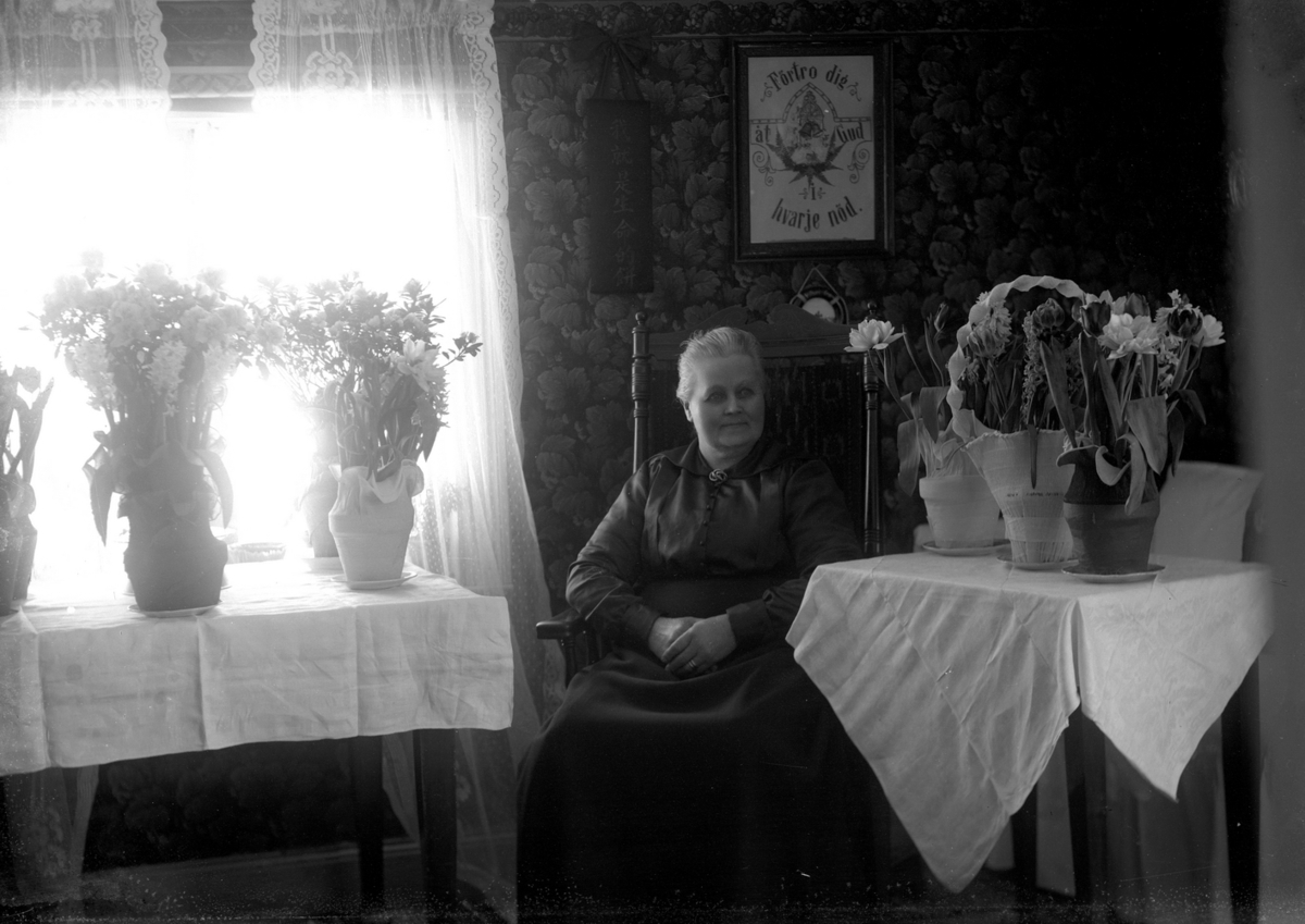 Gustaf Ferdinand Hallberg, Rumsinteriör, en kvinna.