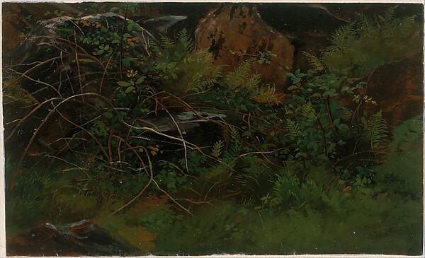 William Stanley Haseltine, Study from Nature